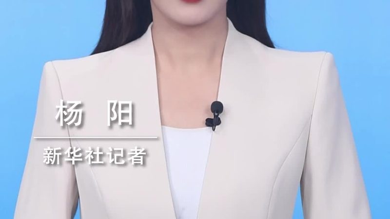 数据治理平台选型的三大关键维度