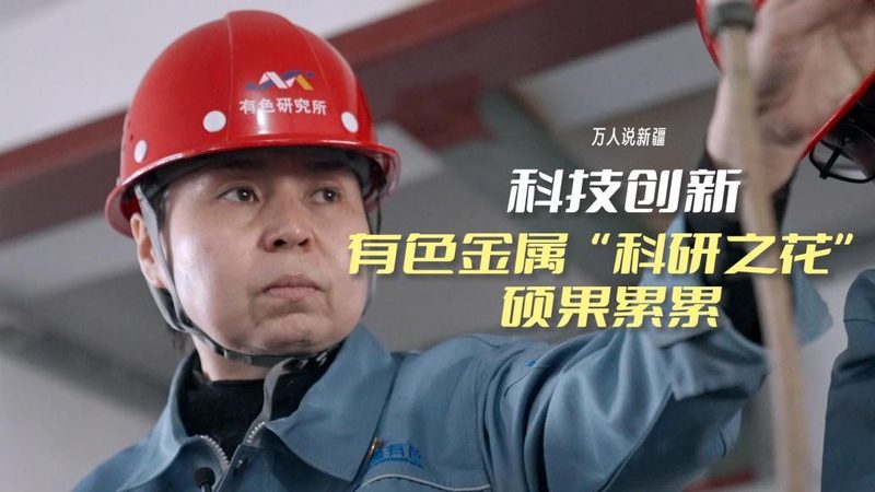 小型SaaS平台的技术选型与架构设计